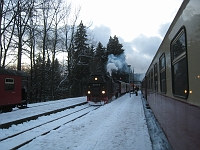 IMG_8387 