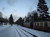 IMG_8390 