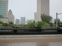 IMG022